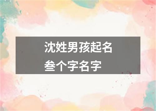 沈姓男孩起名叁个字名字