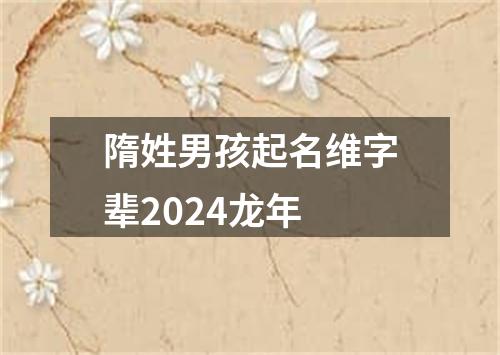 隋姓男孩起名维字辈2024龙年