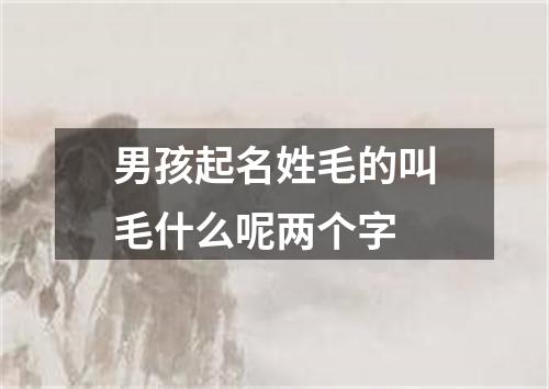 男孩起名姓毛的叫毛什么呢两个字