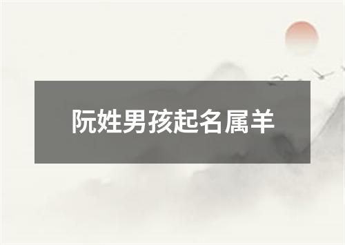 阮姓男孩起名属羊