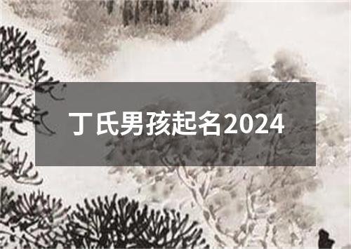 丁氏男孩起名2024