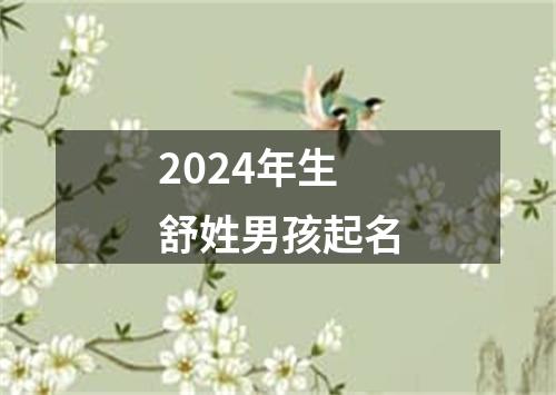 2024年生舒姓男孩起名