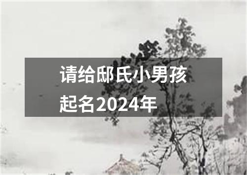 请给邸氏小男孩起名2024年