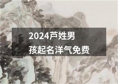 2024芦姓男孩起名洋气免费