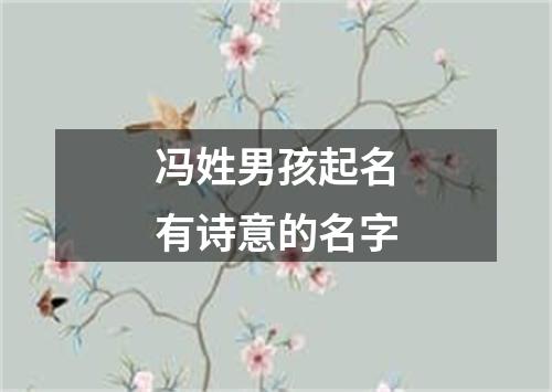 冯姓男孩起名有诗意的名字