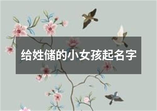 给姓储的小女孩起名字