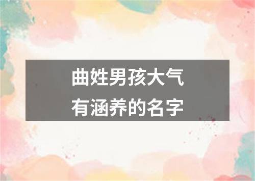 曲姓男孩大气有涵养的名字