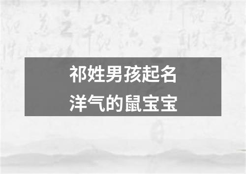 祁姓男孩起名洋气的鼠宝宝