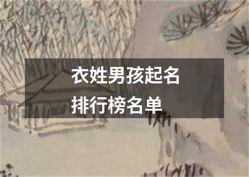 衣姓男孩起名排行榜名单