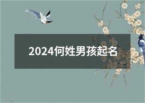 2024何姓男孩起名