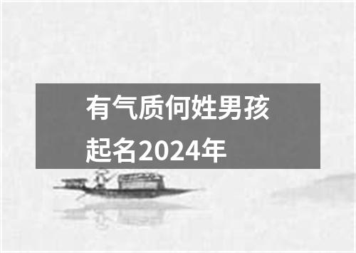 有气质何姓男孩起名2024年