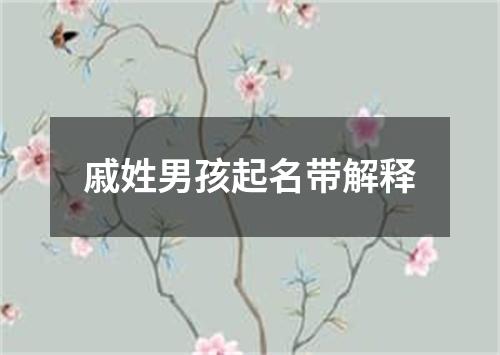 戚姓男孩起名带解释