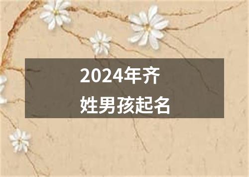 2024年齐姓男孩起名