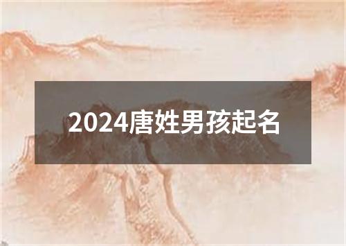 2024唐姓男孩起名