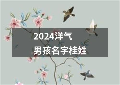 2024洋气男孩名字桂姓