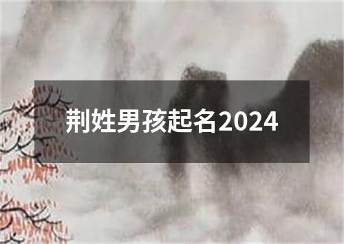 荆姓男孩起名2024