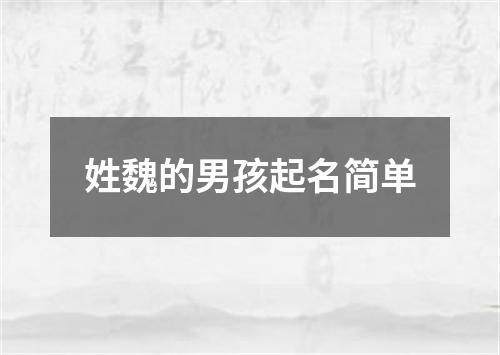 姓魏的男孩起名简单