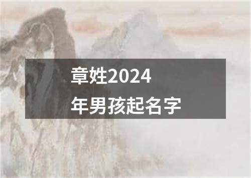 章姓2024年男孩起名字