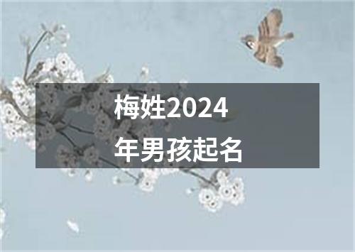 梅姓2024年男孩起名