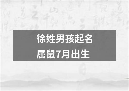 徐姓男孩起名属鼠7月出生