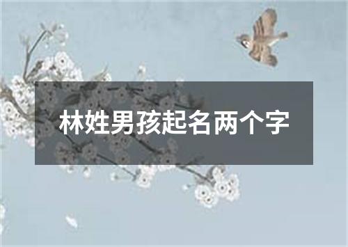 林姓男孩起名两个字