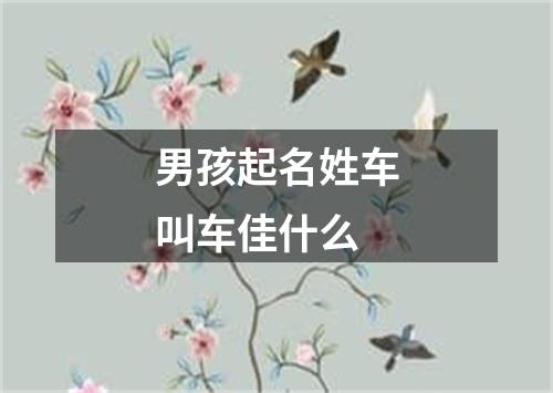 男孩起名姓车叫车佳什么