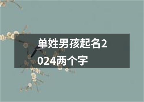 单姓男孩起名2024两个字