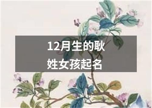 12月生的耿姓女孩起名