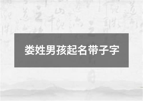 娄姓男孩起名带子字