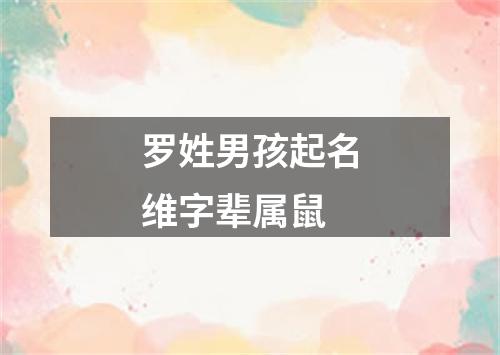 罗姓男孩起名维字辈属鼠