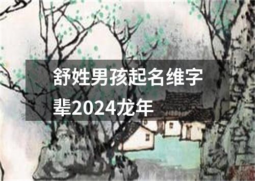 舒姓男孩起名维字辈2024龙年