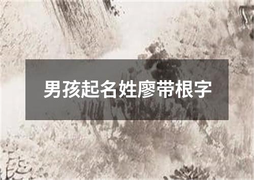 男孩起名姓廖带根字