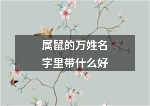 属鼠的万姓名字里带什么好