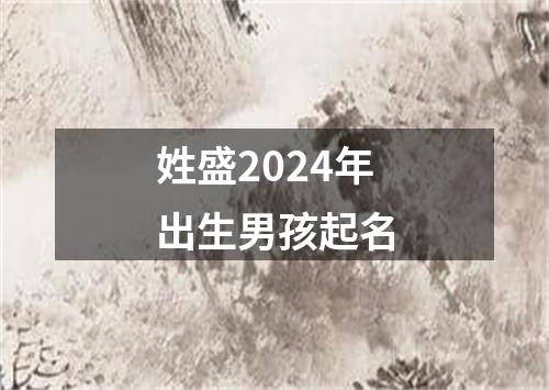 姓盛2024年出生男孩起名