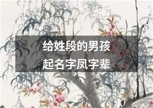 给姓段的男孩起名字凤字辈