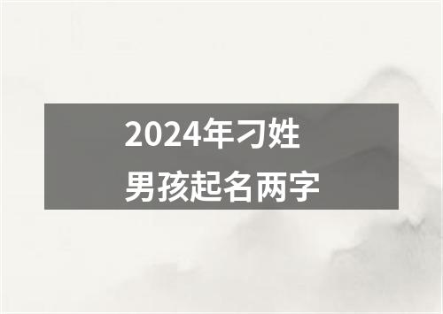 2024年刁姓男孩起名两字