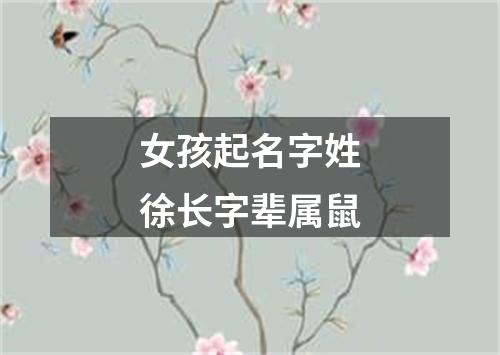 女孩起名字姓徐长字辈属鼠