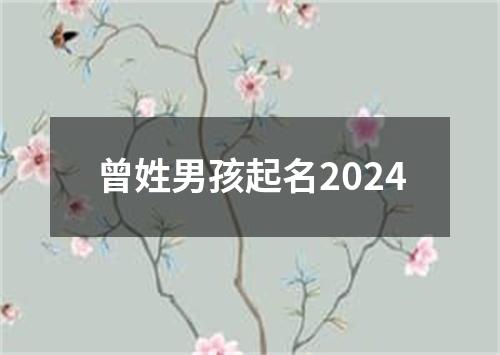 曾姓男孩起名2024