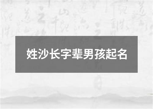 姓沙长字辈男孩起名