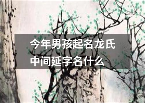 今年男孩起名龙氏中间延字名什么