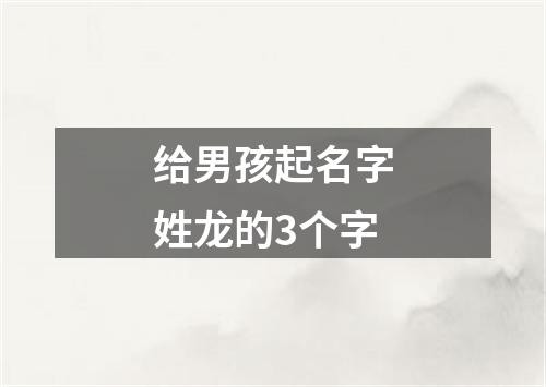 给男孩起名字姓龙的3个字