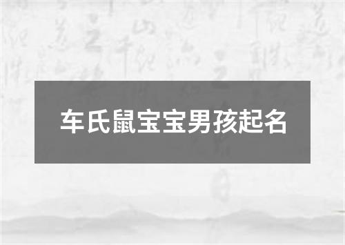 车氏鼠宝宝男孩起名