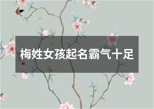 梅姓女孩起名霸气十足