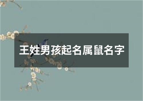 王姓男孩起名属鼠名字