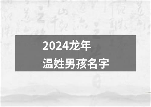 2024龙年温姓男孩名字