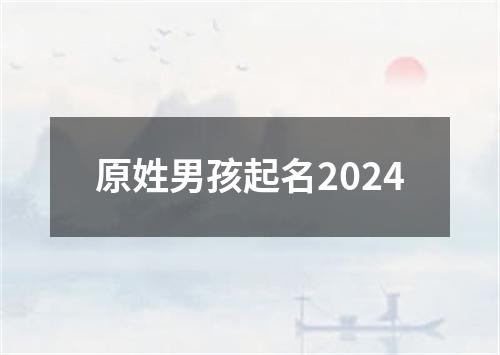 原姓男孩起名2024