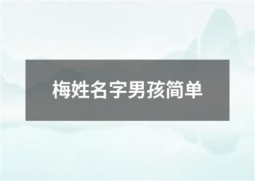 梅姓名字男孩简单