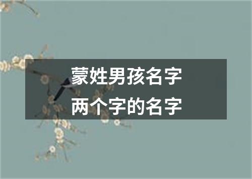 蒙姓男孩名字两个字的名字