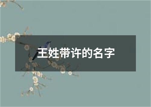 王姓带许的名字