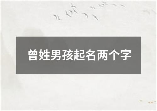 曾姓男孩起名两个字